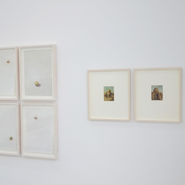 Installation View - Walking the Line IV