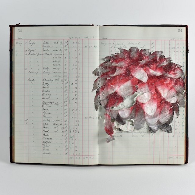 A flower in May 1944