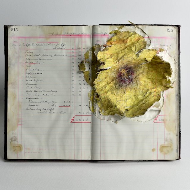 A flower in Trading and Profit