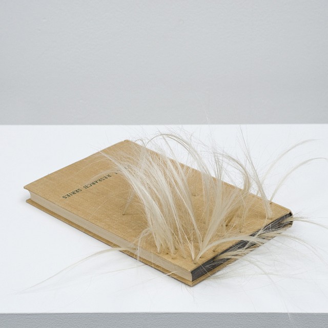 Education and the Urban Child (JC/S 34), 2012, Paper and Hair, 38 x 37 x 14 cm