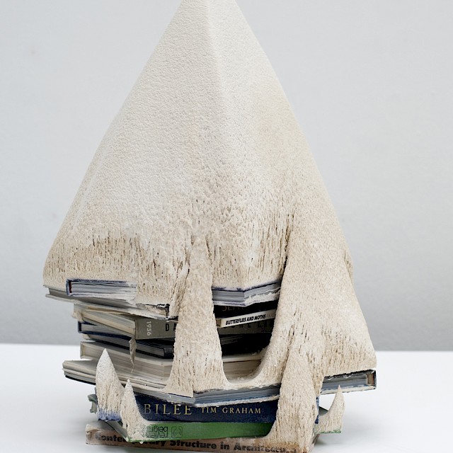 Butterflies and Moths (JC/S 36), 2012, Paper and Plaster, 64 x 64 x 40 cm