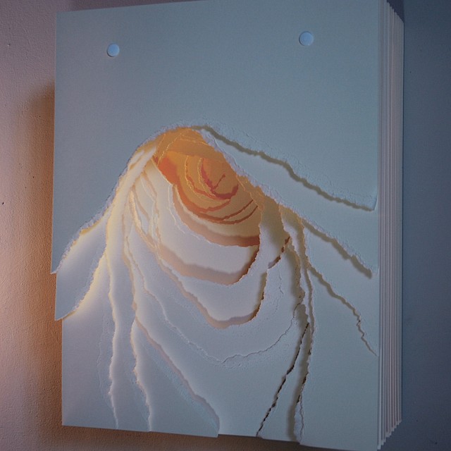 Terforation VII/XVI (AGL/S 7)