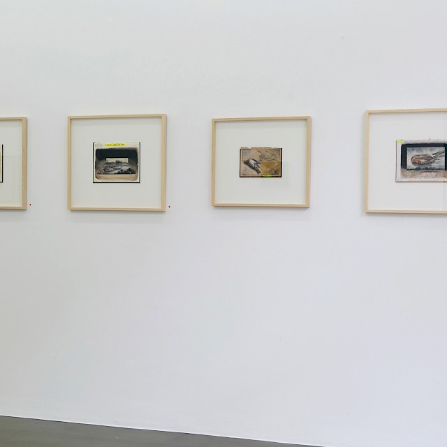 Fiddling While Rome Burns | Installation view, Galerie Martin Kudlek, Cologne | photo © Paulo dos Santos