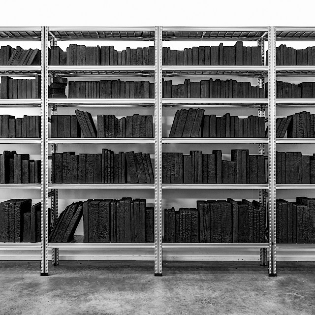 Fahrenheit, Installation, Galvanized shelves, stainless steel and calcined wood 250 x 420 x 32 cm, 2018