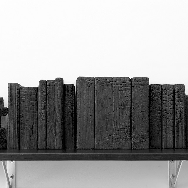Fahrenheit (RLD/S 3), 2018, Wood, Ink on Shelf, 49 x 33 x 112 cm