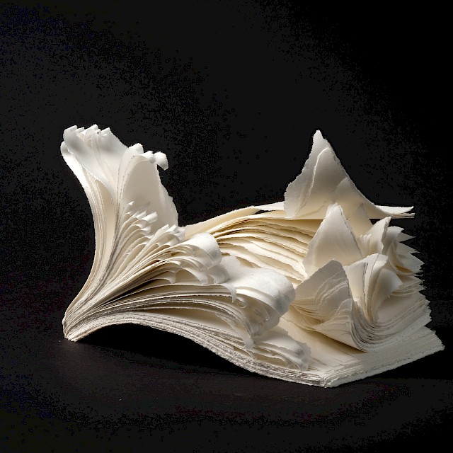 warpage 2020-019, 2020, gerissenes Papier, 14 x 20 x 14 cm