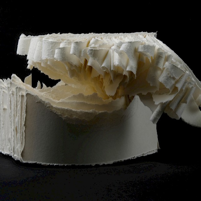 warpage 2020-022, 2020, gerissenes Papier, 14 x 26 x 20 cm