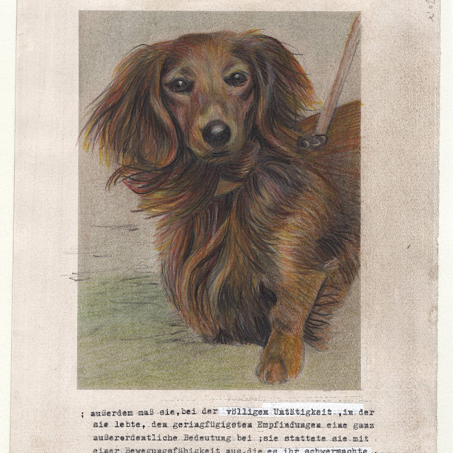 Auf dem Weg zu Swann