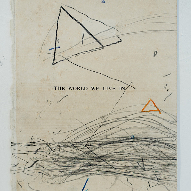 The world we live in II